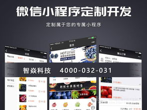 郑州软件开发服务 高效供应与批发解决方案